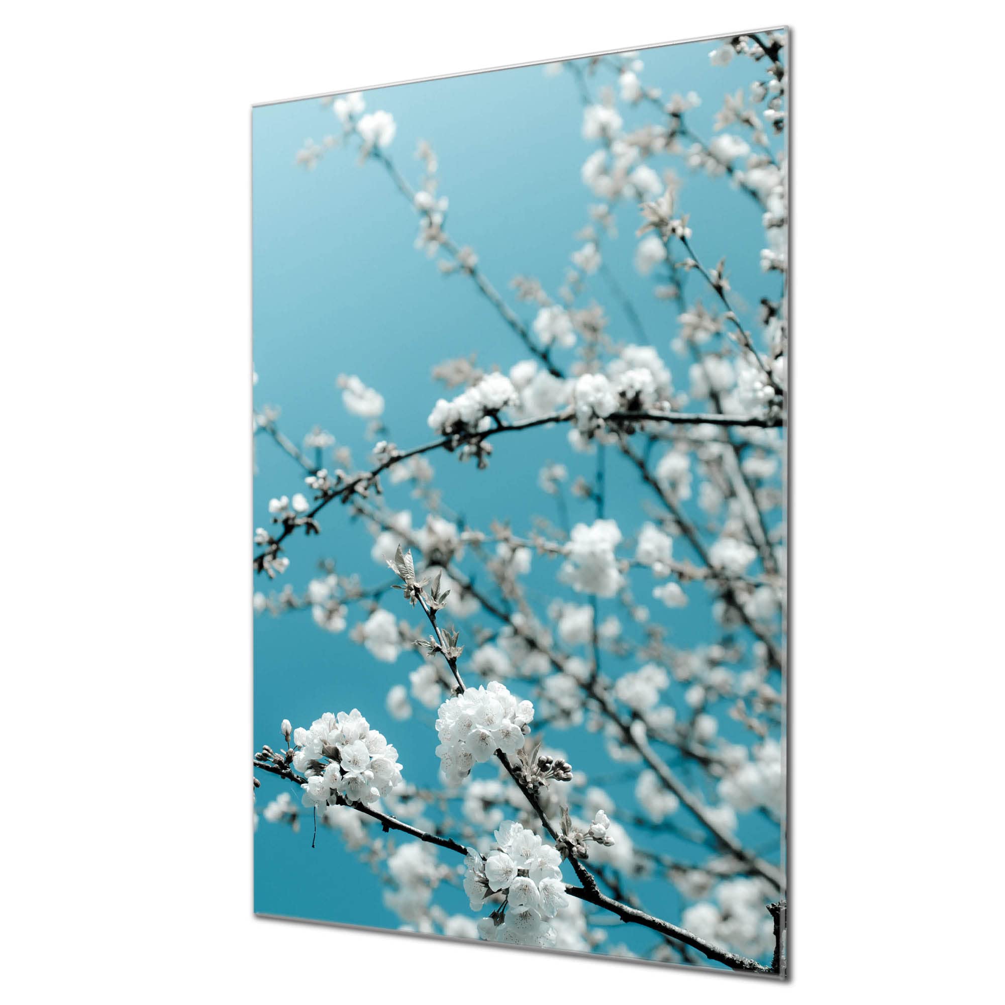 Banjado Magnettafel Japankirsche Glasboard 40x60 cm Blumenmotiv