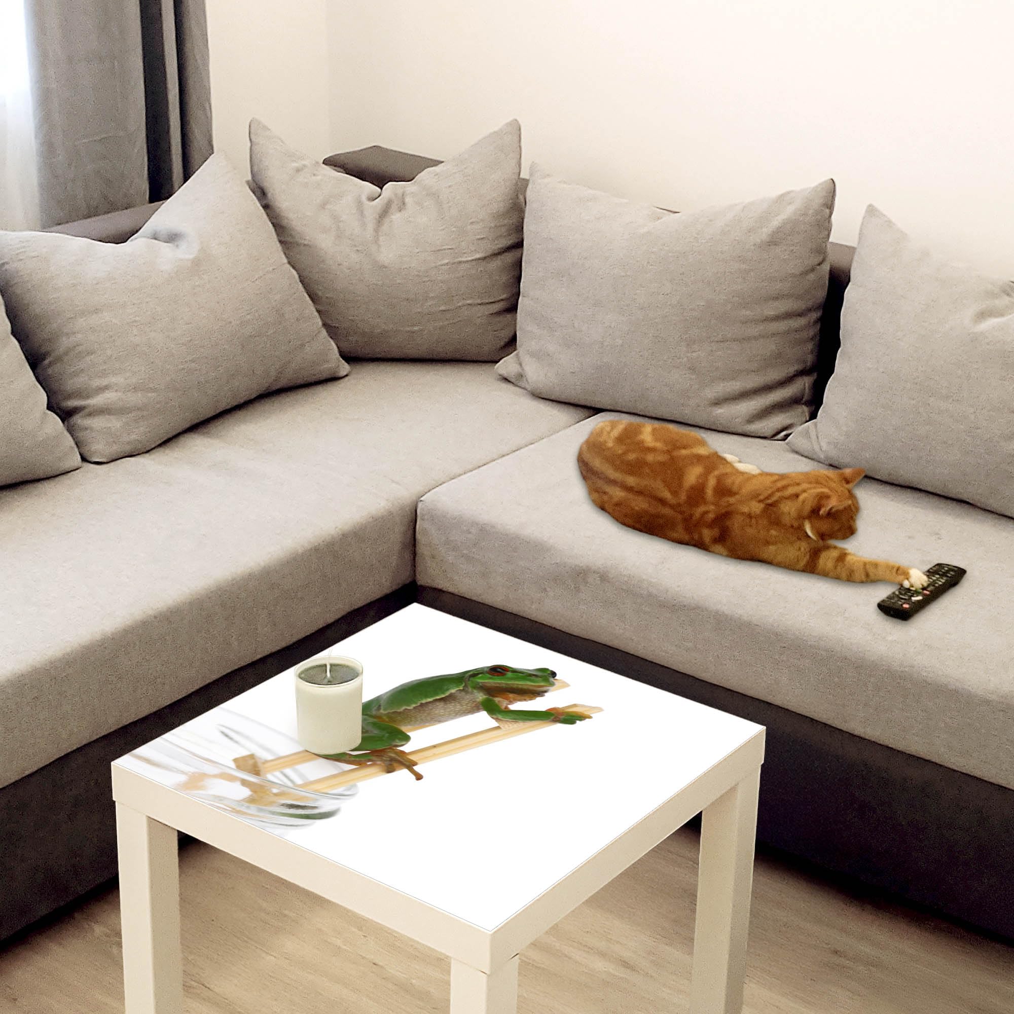 Banjado Möbelfolie Tischfolie Wetterfrosch 55x55 selbstklebend