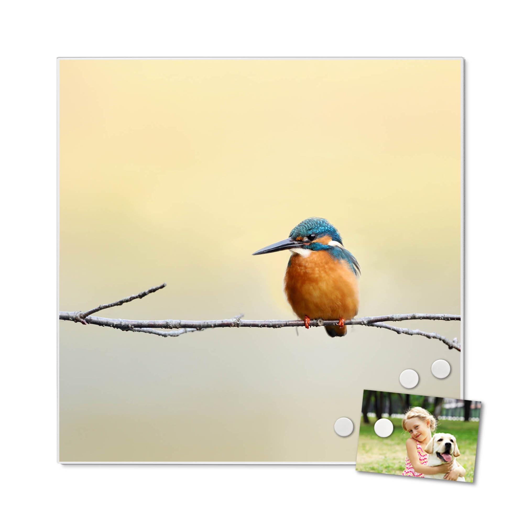 Banjado Magnettafel 50x50 cm Magnetwand Motiv Pause