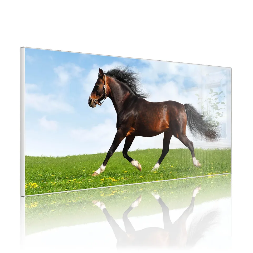 Banjado Magnettafel Pferd Metall 78x37cm weiß beschreibbar