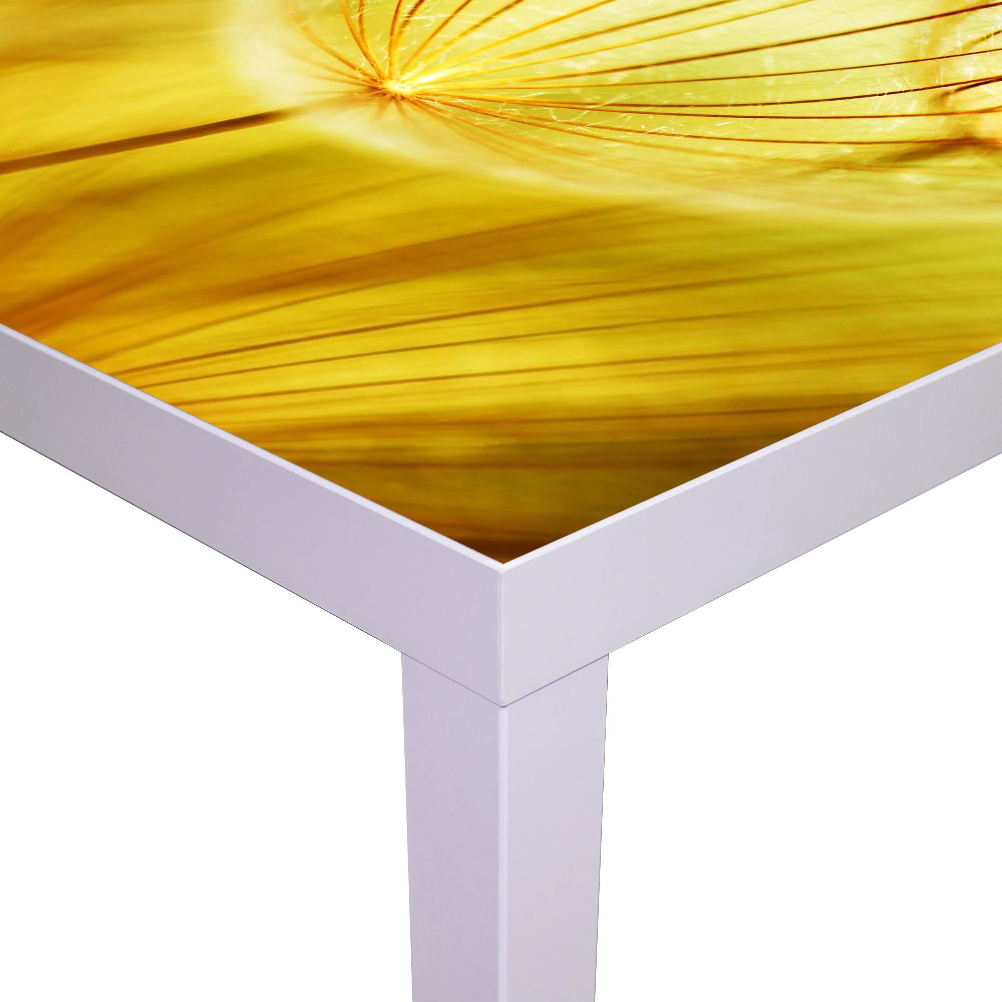 Banjado Möbelfolie Pusteblumen Gold Tischfolie 55x55