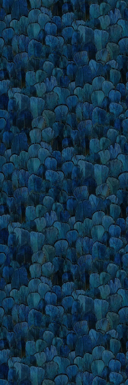 Mineheart Feather Pattern Blue Tapete Blau Federn A3