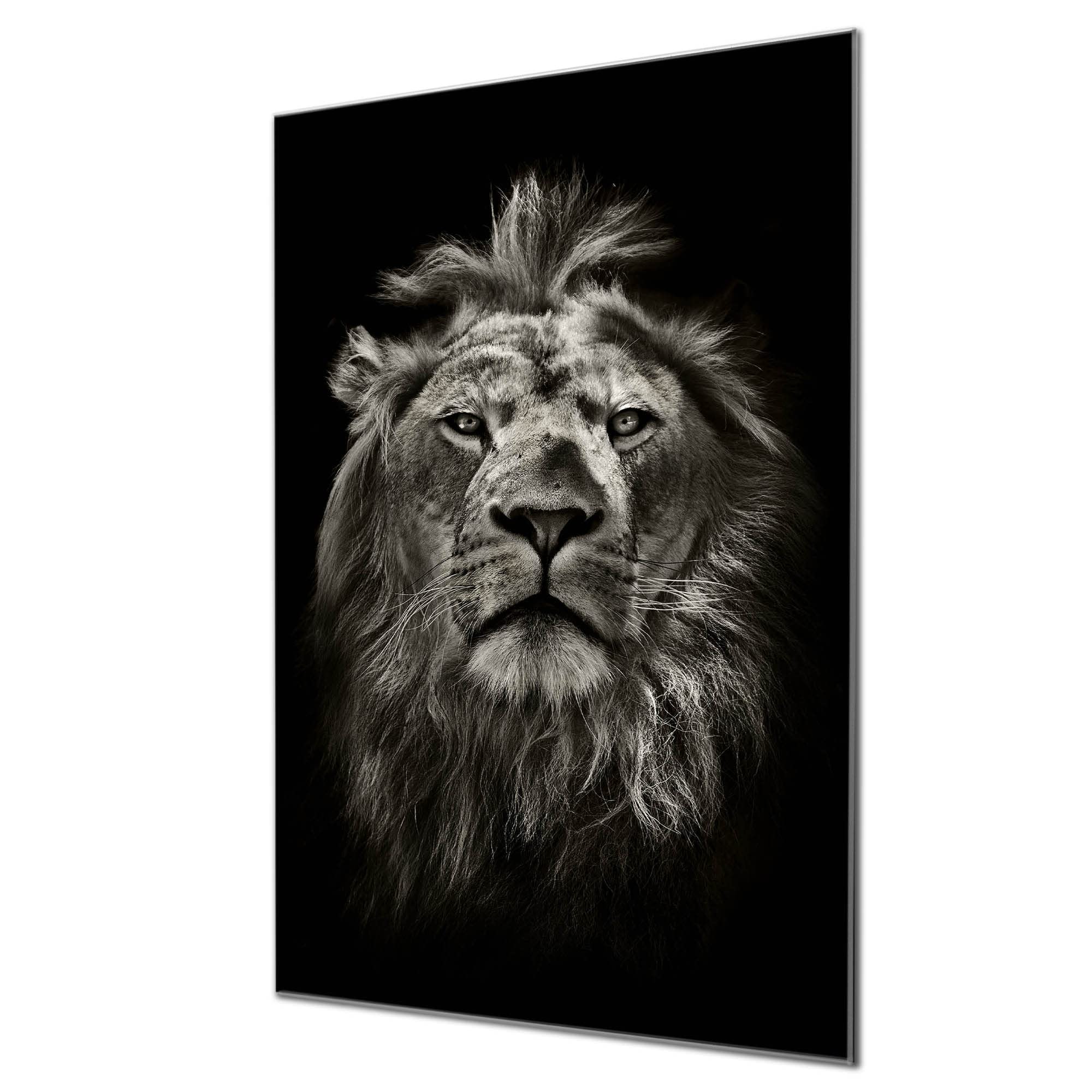 Banjado Magnettafel Löwe Porträt Glas Magnettafel 60x40 beschreibbar