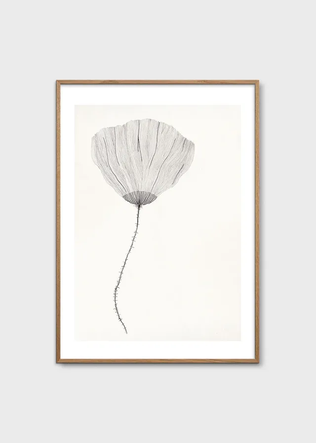 The Poster Club Poppy Poster 30x40 cm Botanik