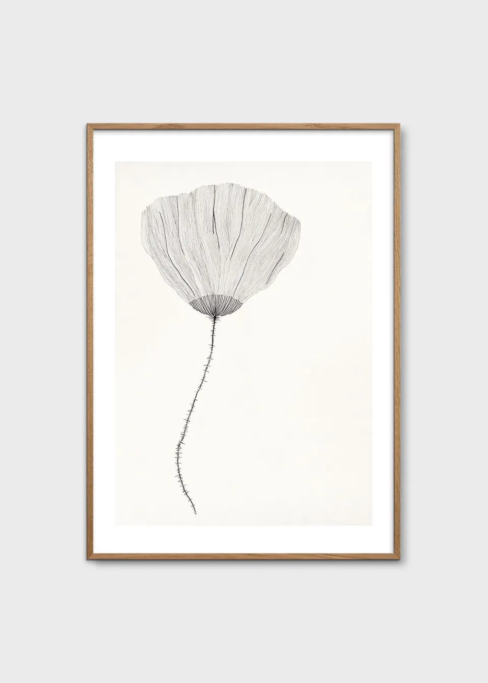 The Poster Club Poppy Poster 30x40 cm Botanik