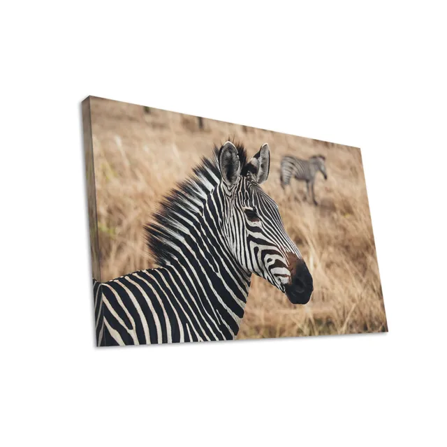 Hustling Sharks Wandbilder Zebra in trockener Savanne Leinwand 30x40 cm