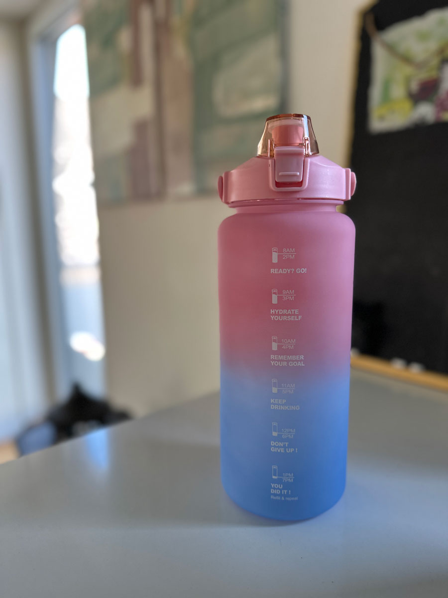 LS-LebenStil Küche & Haushalt Trinkflasche 2000 ml Blau
