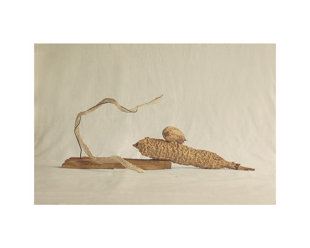 The Poster Club Zambezi River Poster 40x50 cm Kunstdruck