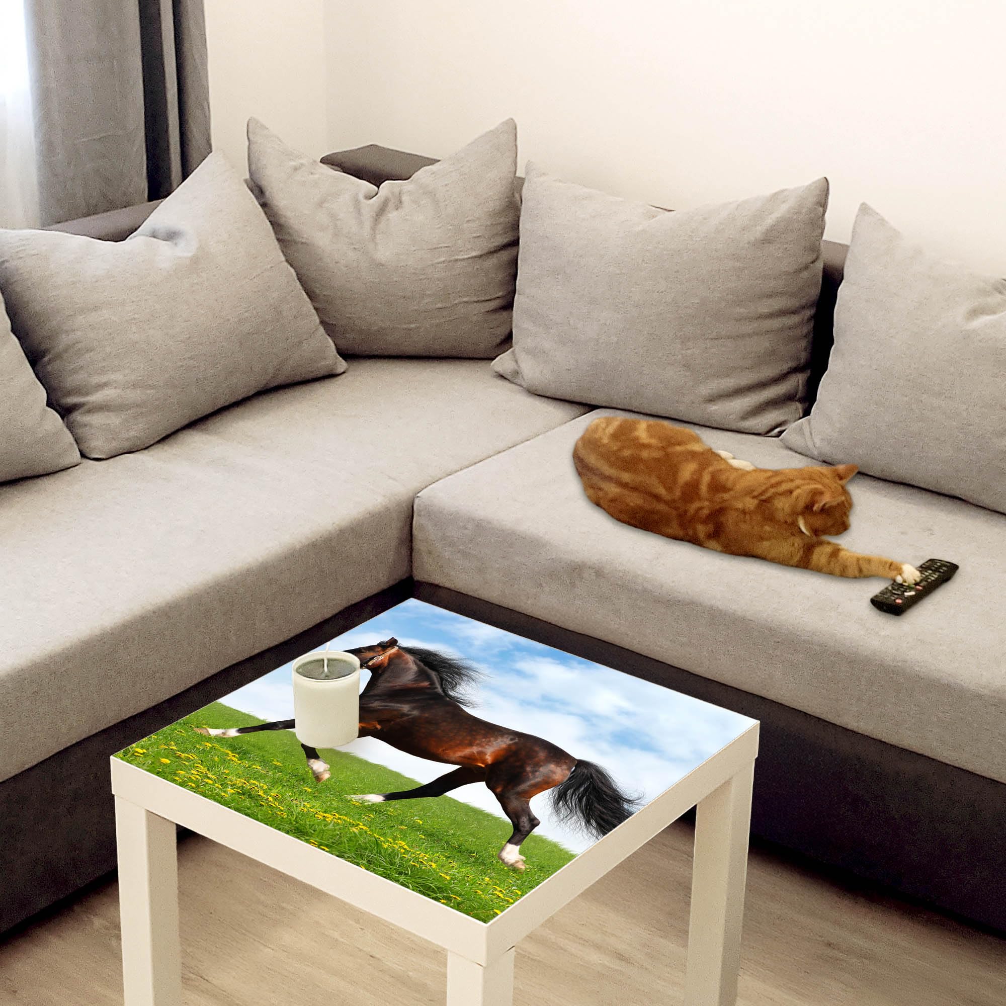 Banjado Möbelfolie Pferd Tischfolie 55x55 für IKEA LACK selbstklebend