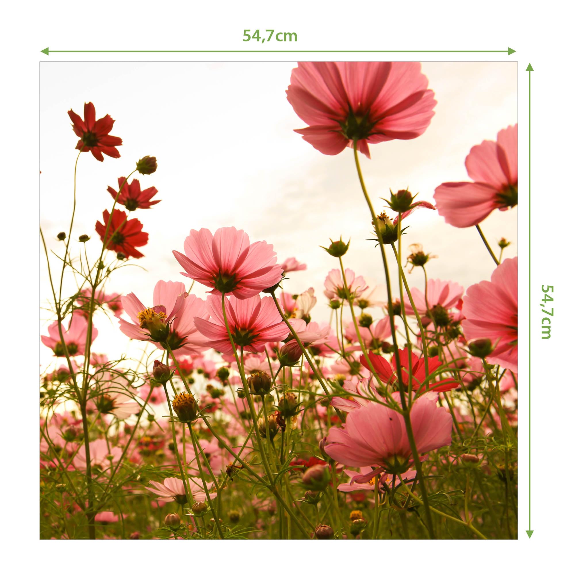 Banjado Möbelfolie Schmuckkörbchen Tischfolie 55x55 floral