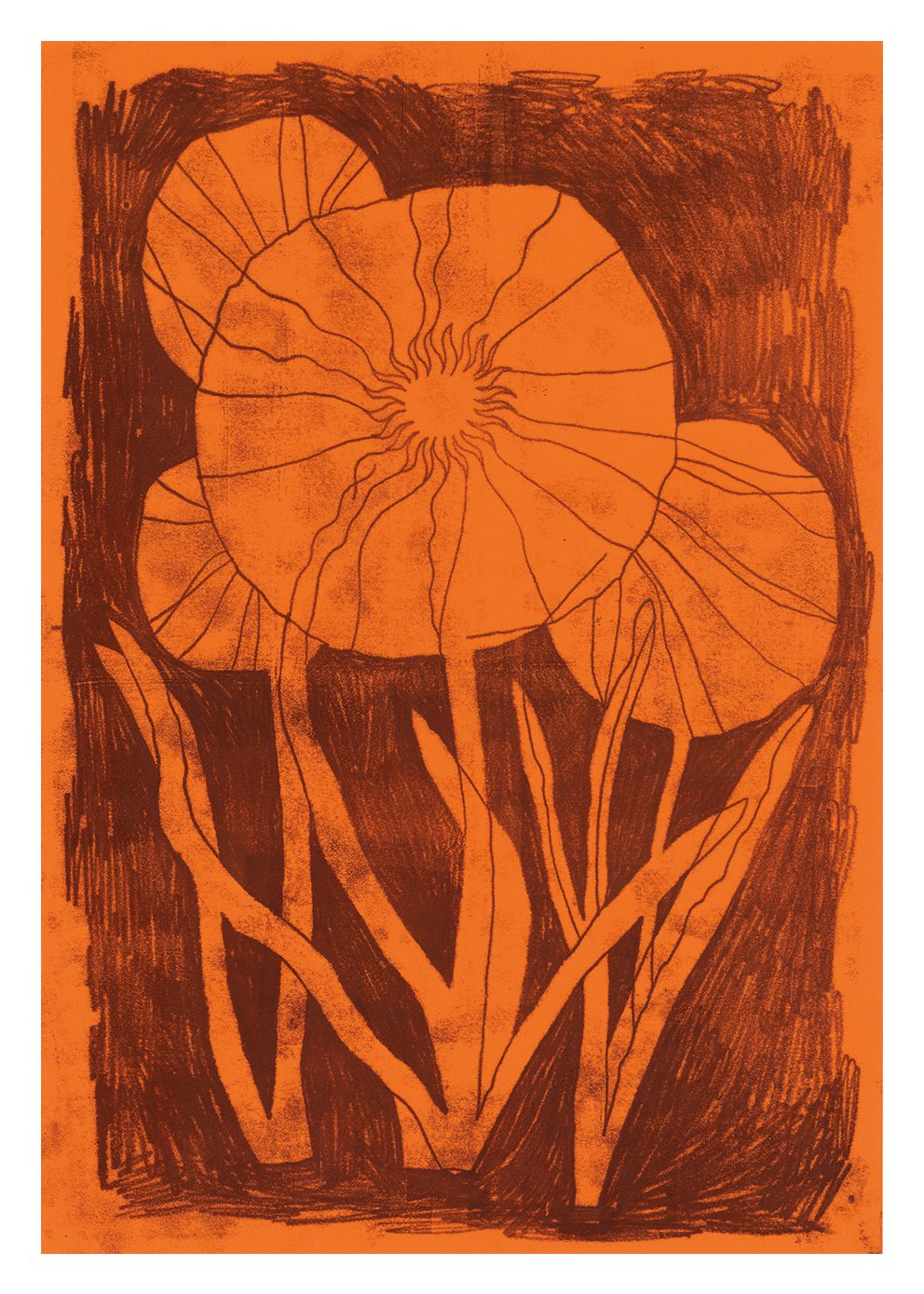 The Poster Club Everlasting Flower Poster 30x40 cm rot