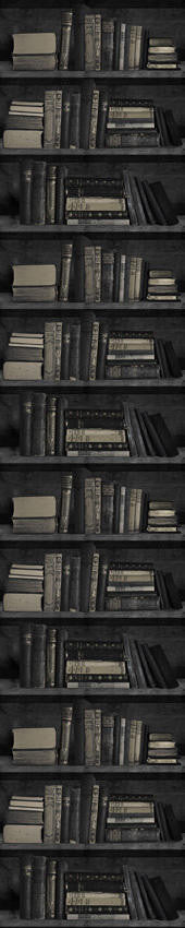 Mineheart Dark Bookshelf Tapete Bücherregal Dunkel
