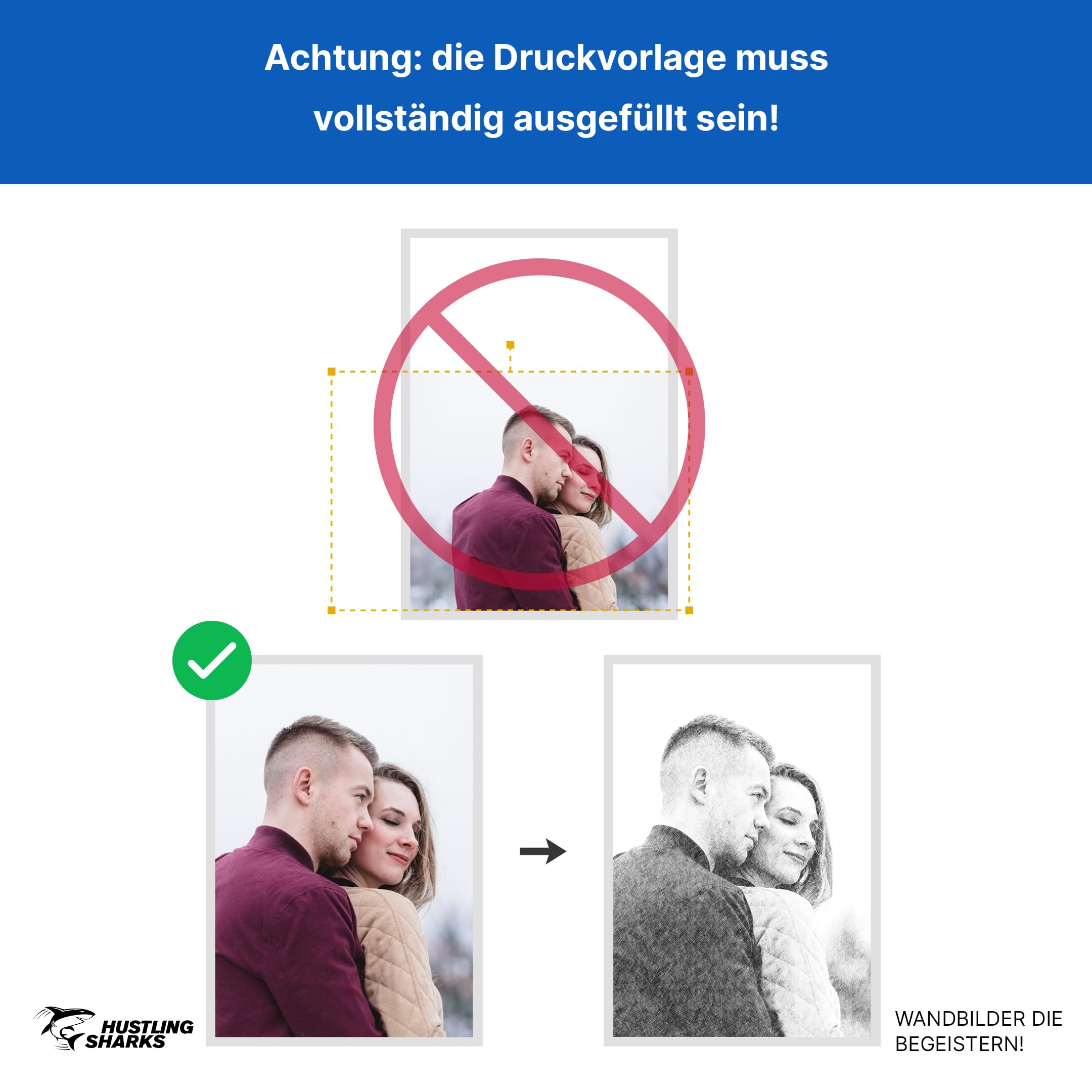 Hustling Sharks Wandbilder Portrait Strichzeichnung Leinwand 30x45 cm