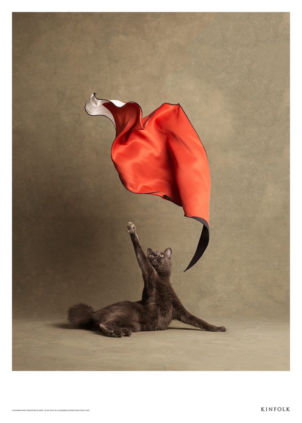 The Poster Club Le Chat Chic Poster 50x70 cm Katzenmotiv