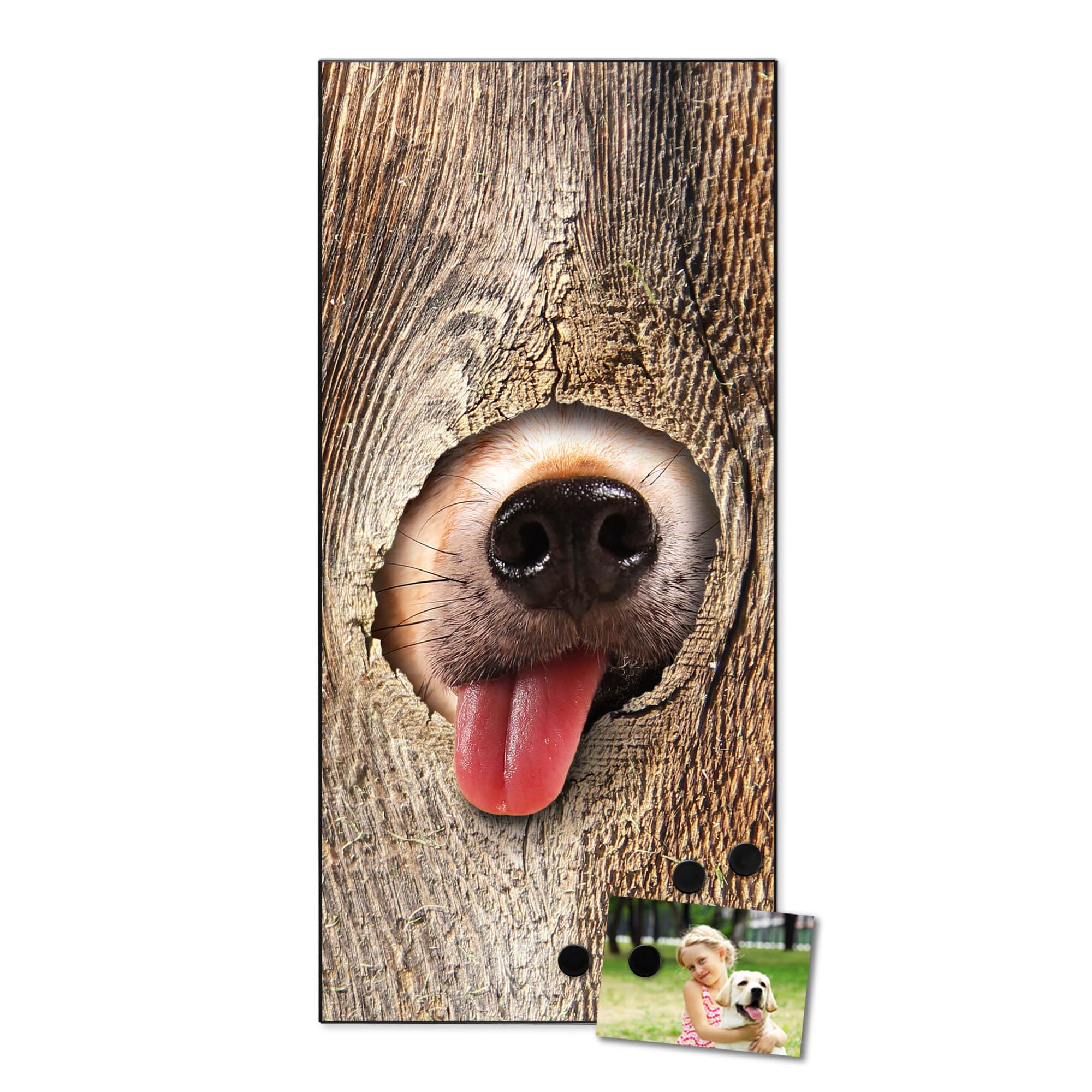 Banjado Magnettafel Rumschnüffeln 37x78 cm Magnetwand