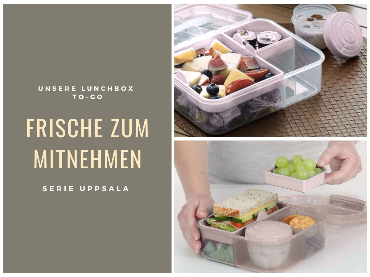 LS-LebenStil Küche & Haushalt Bento Box Rosa 3 Fächer 2 Ebenen