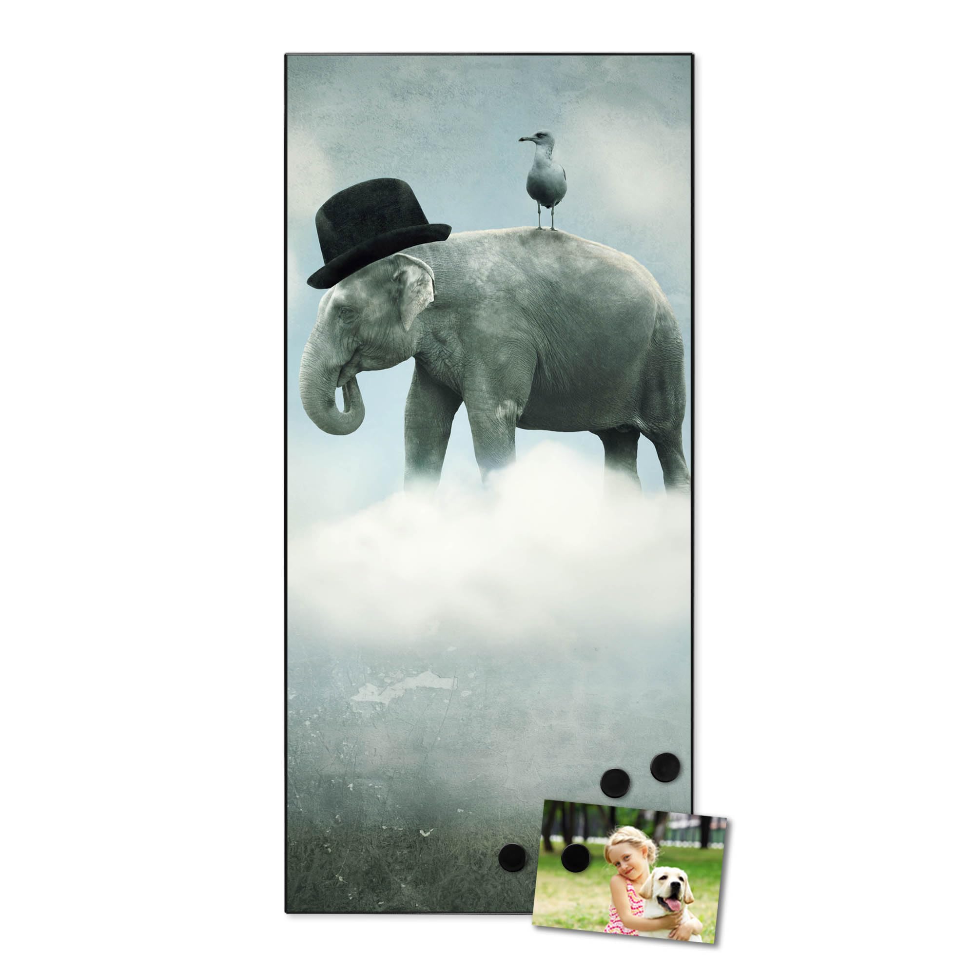 Banjado Magnettafel 37x78cm Magnetpinnwand Elefant und Möwe