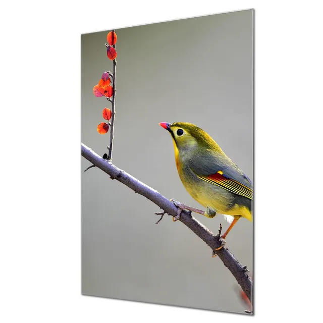 Banjado Magnettafel Herbst Vogel Glasboard 60x40cm