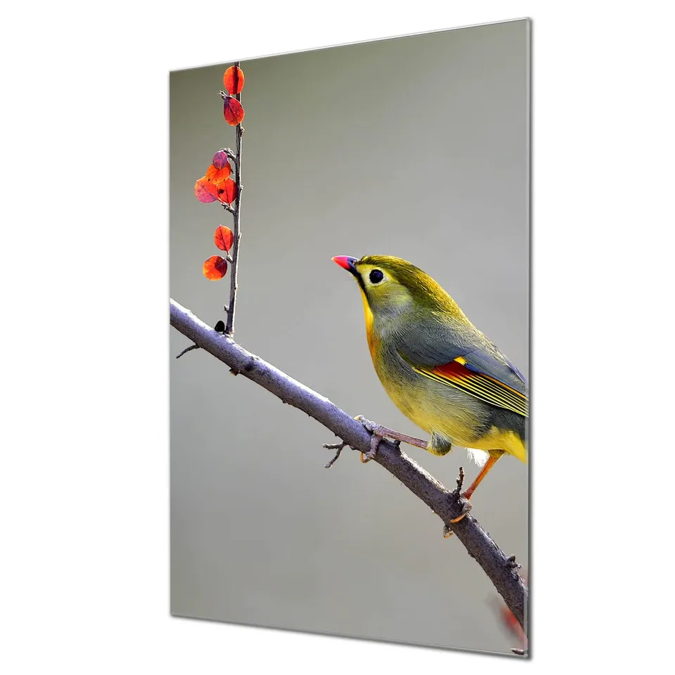 Banjado Magnettafel Herbst Vogel Glasboard 60x40cm