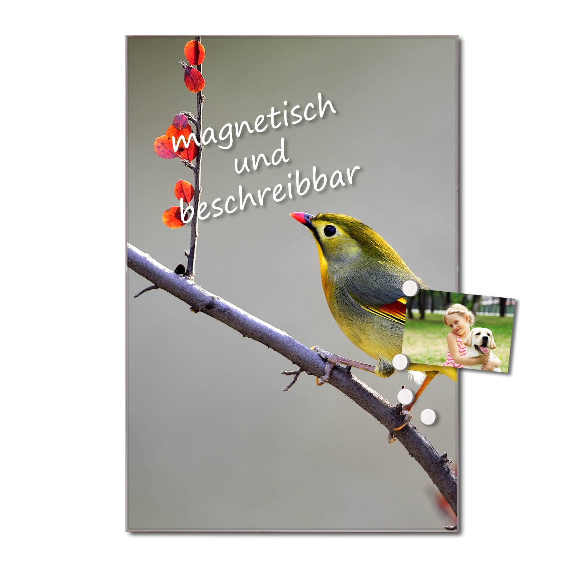 Banjado Magnettafel Herbst Vogel Glasboard 60x40cm