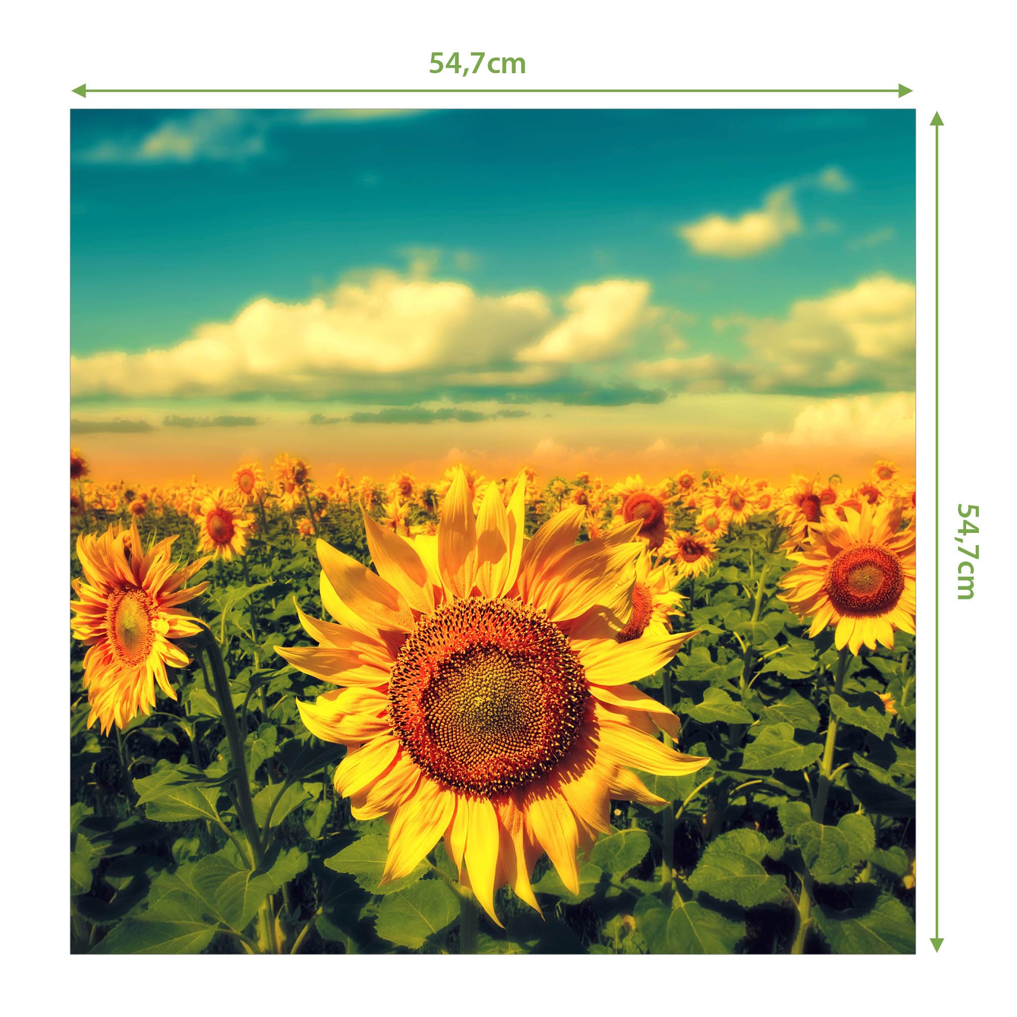 Banjado Möbelfolie Tischfolie Sonnenblumen 55x55 cm