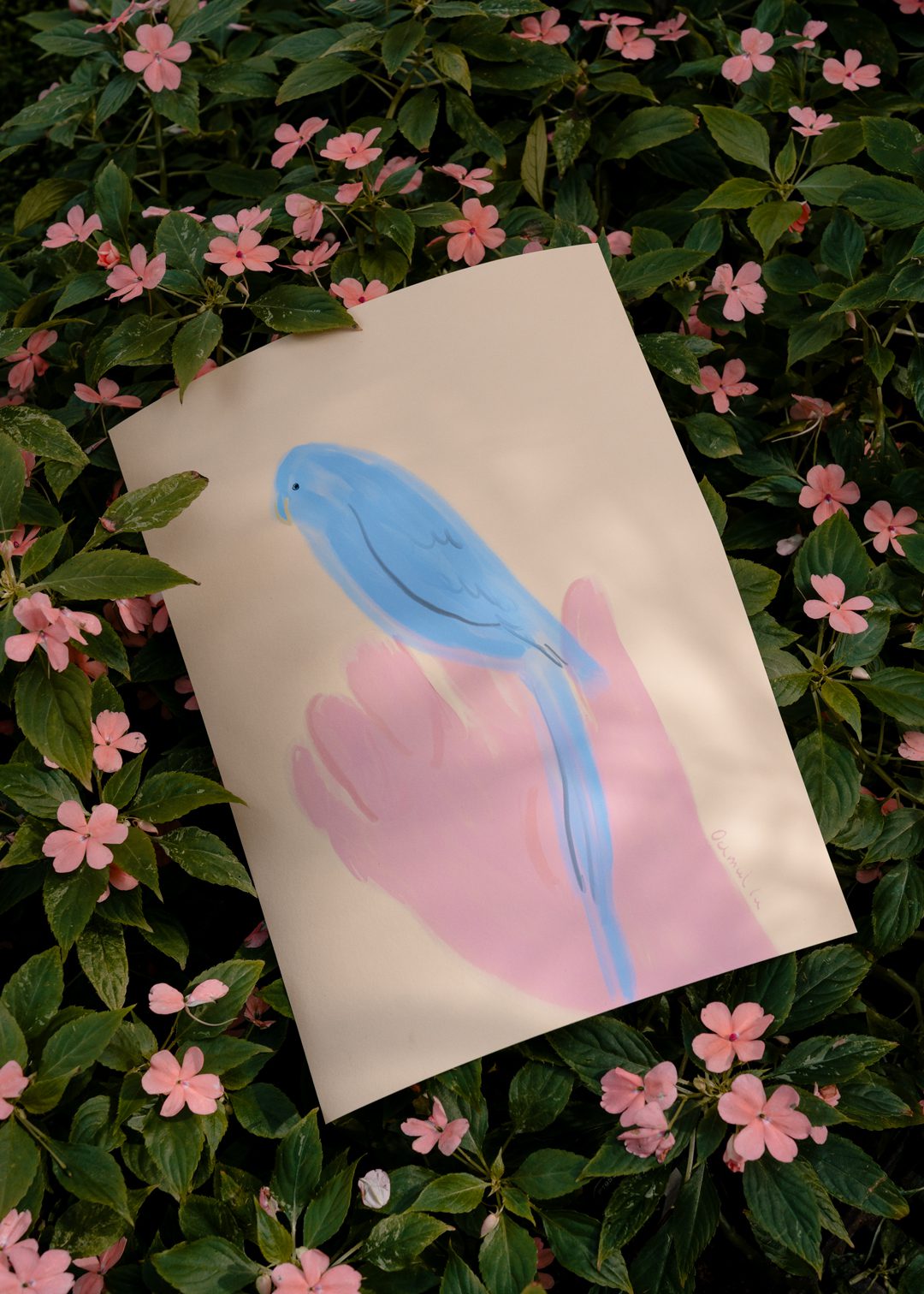 The Poster Club Art Prints Parrot in Hand Poster 30x40 Papagei