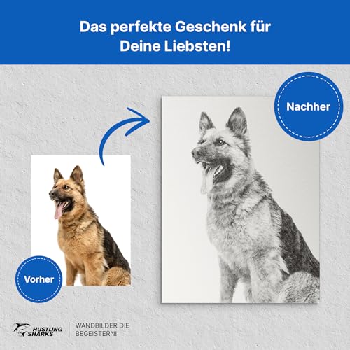 Hustling Sharks Wandbilder Portrait Strichzeichnung Leinwand 30x45 cm