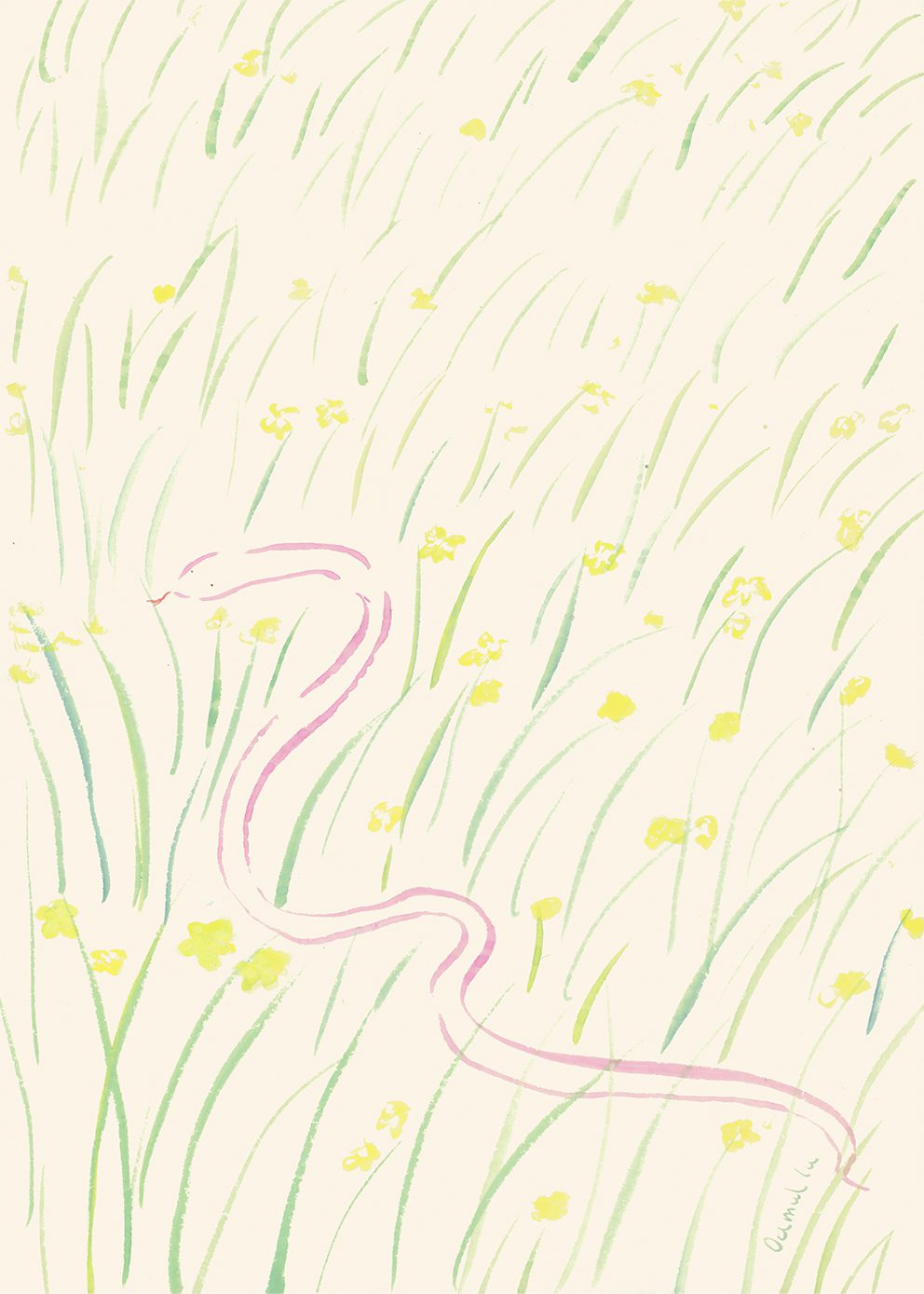 The Poster Club Daffodils and Snake Kunstdruck A4 botanisch