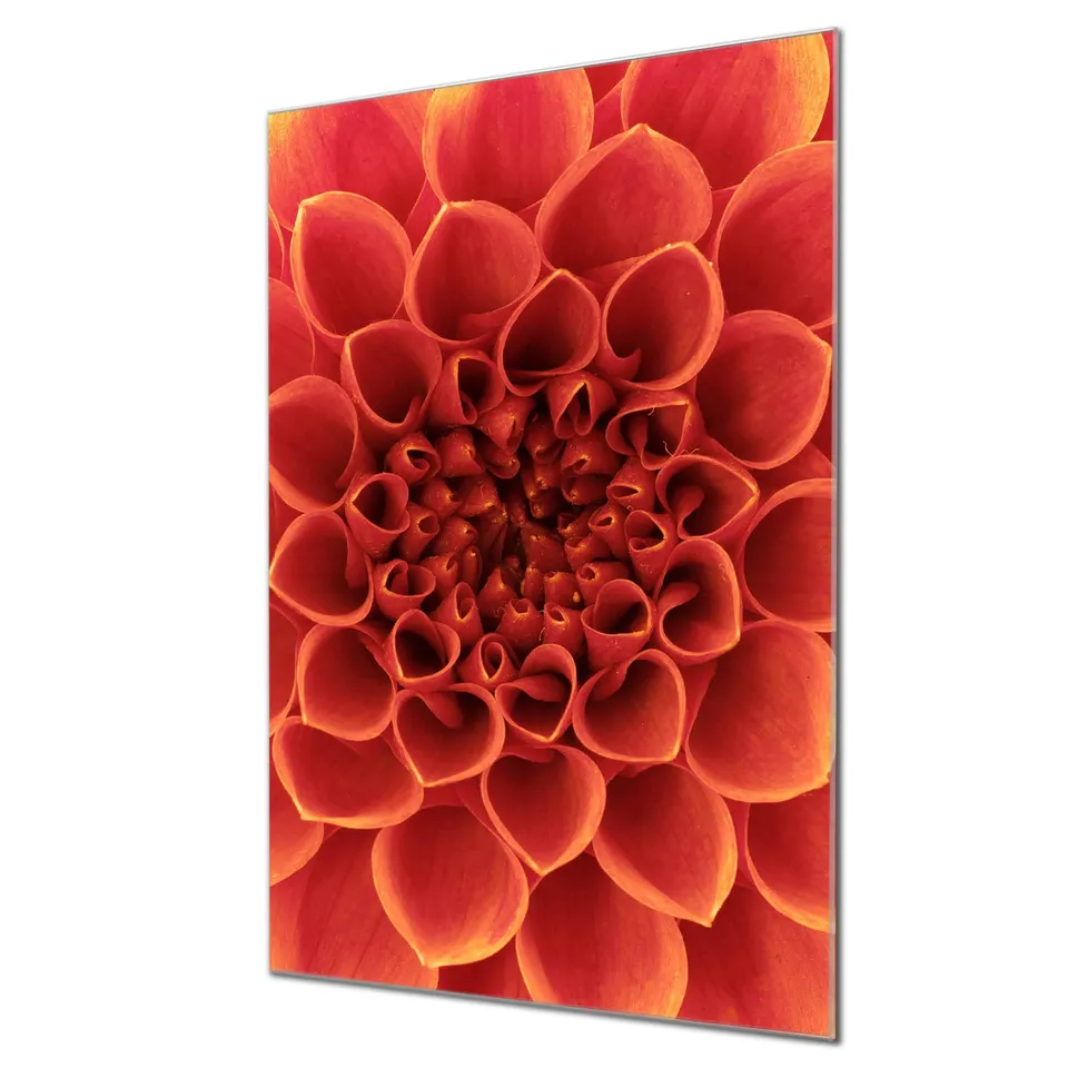 Banjado Magnettafel Orange Chrysantheme Board 40x60 Glas