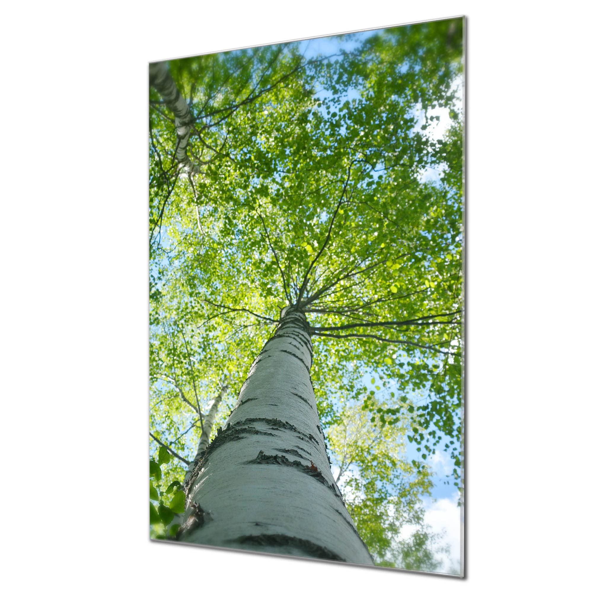 Banjado Magnettafel Zwischen Bäumen Glasboard 40x60 Wald