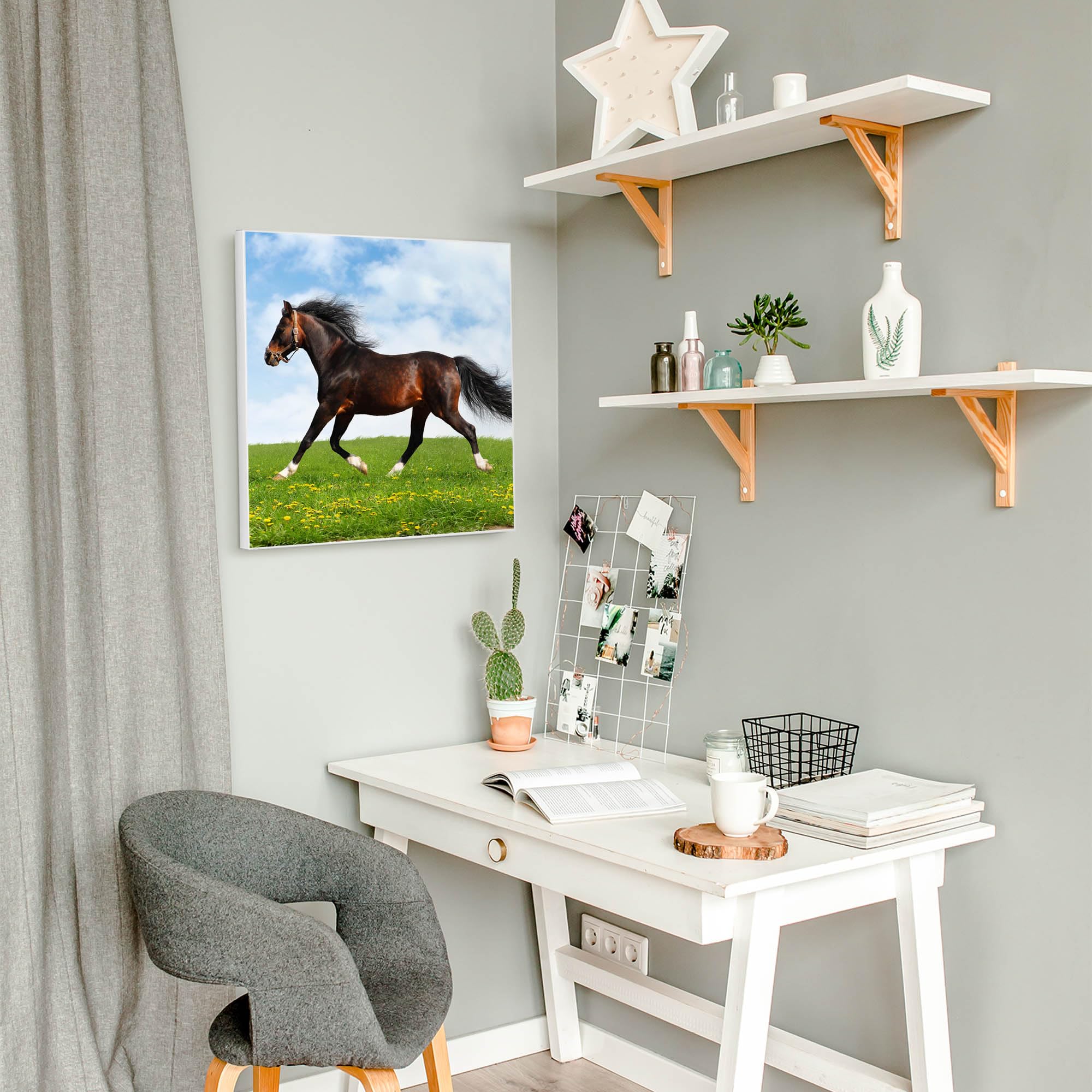 Banjado Magnettafel Pferd Metall 50x50 cm mit Magneten
