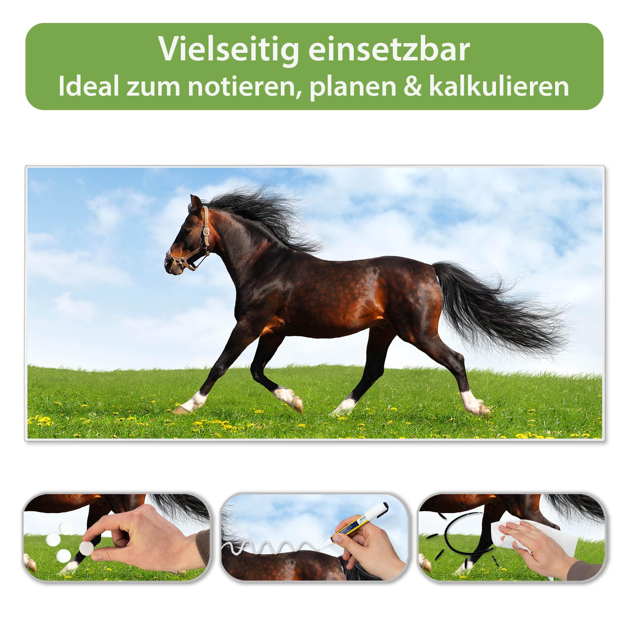 Banjado Magnettafel Pferd Metall 78x37cm weiß beschreibbar