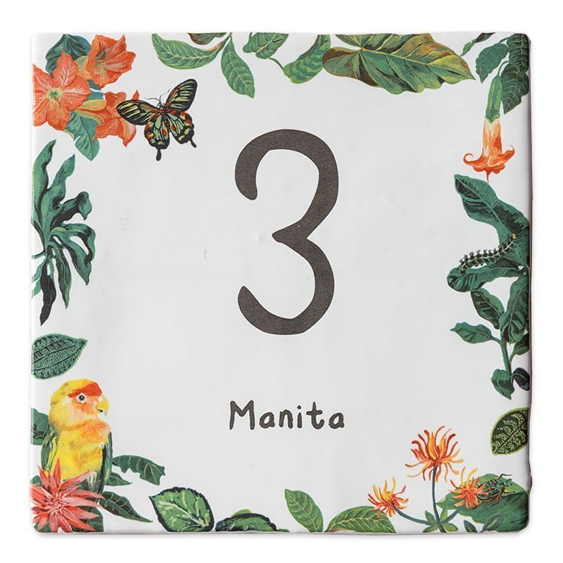Storytiles Delft blue Papagei Fliese 10x10 cm Hausnummer