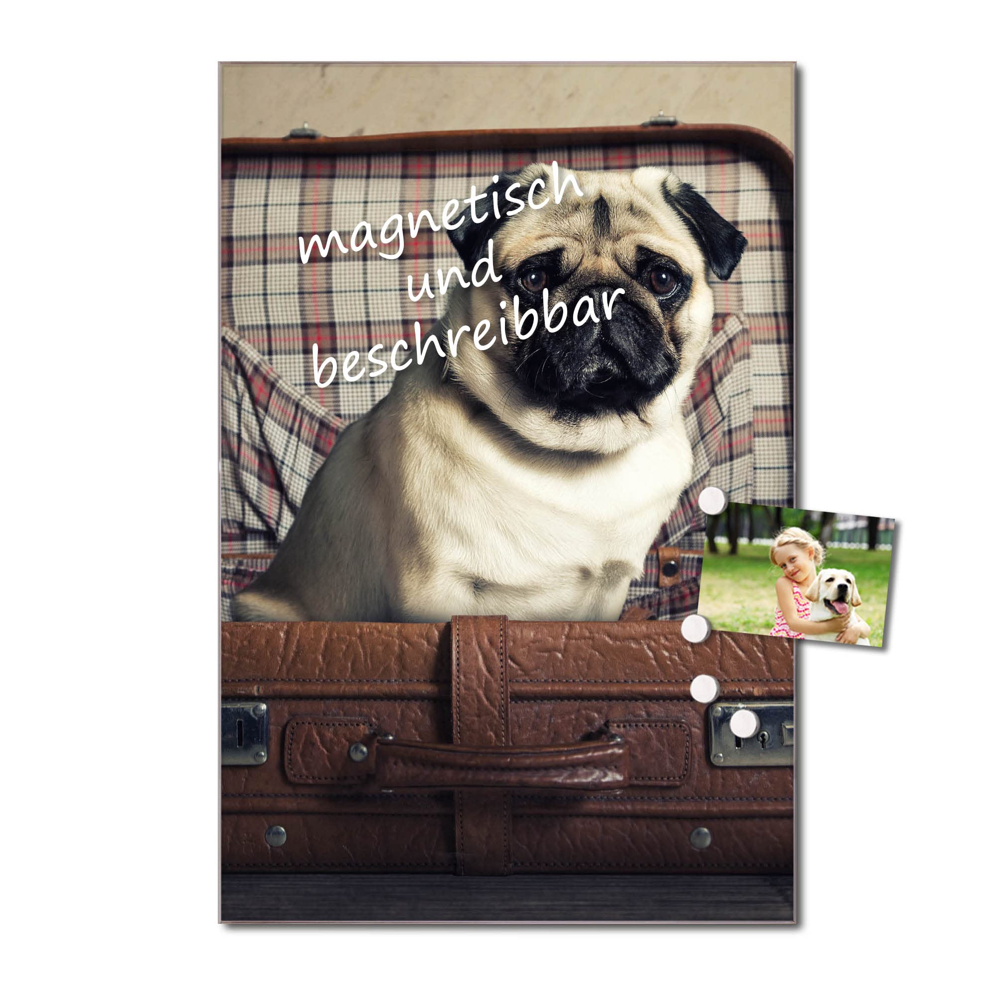 Banjado Magnettafel Mops im Koffer Magnetboard 60x40 Hund