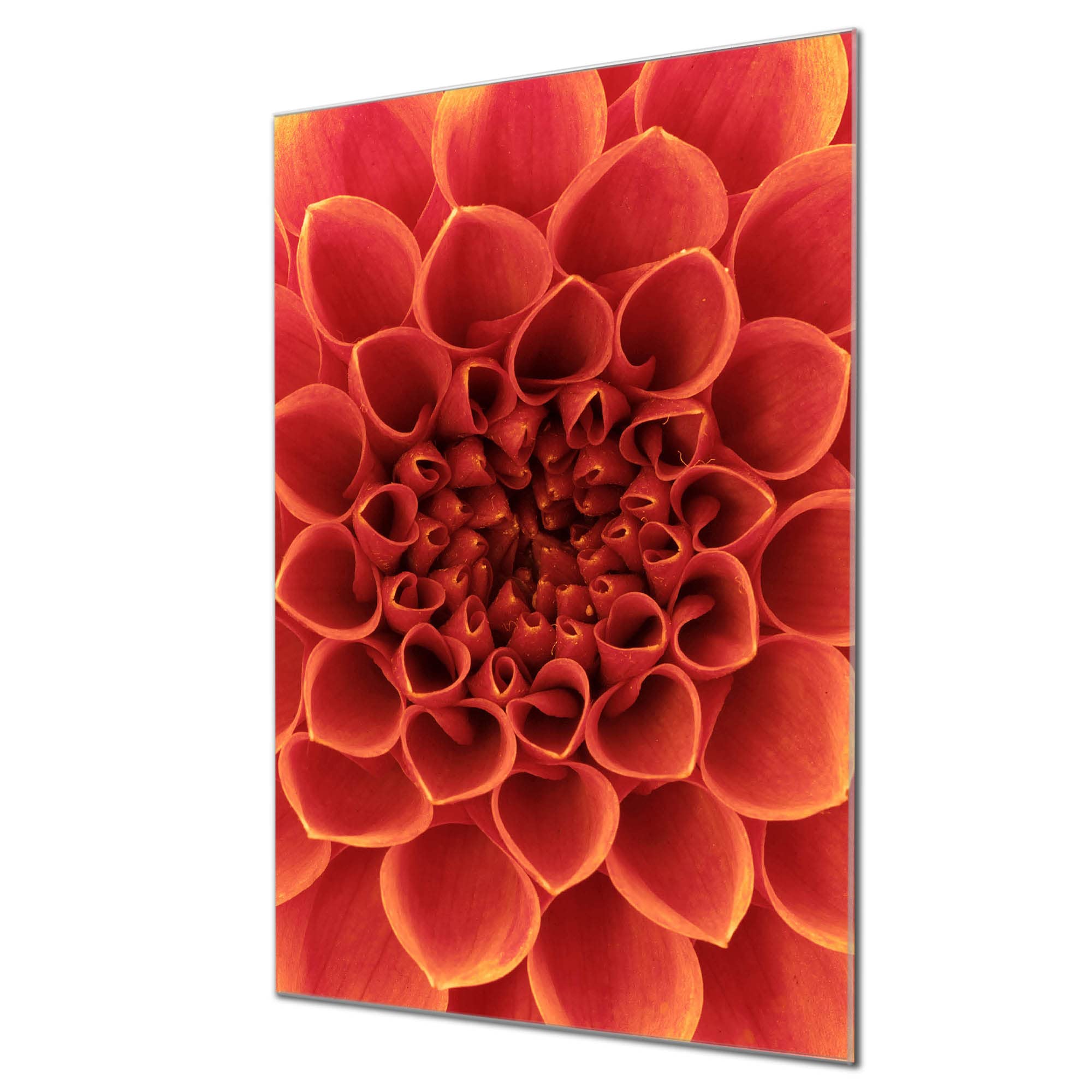 Banjado Magnettafel Orange Chrysantheme Board 40x60 Glas
