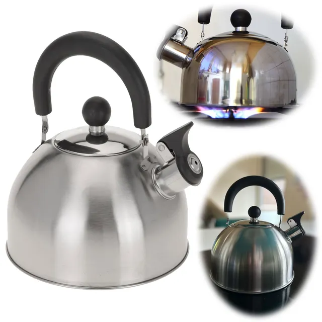 LS-LebenStil Küche & Haushalt Flötenkessel 2,5L Edelstahl Induktion