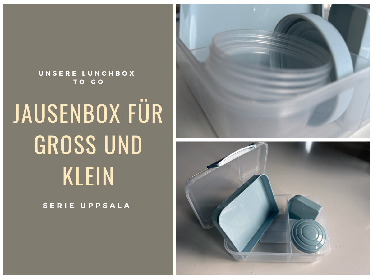 LS-LebenStil Küche & Haushalt Bento Box Blau 3 Fächer 2 Ebenen
