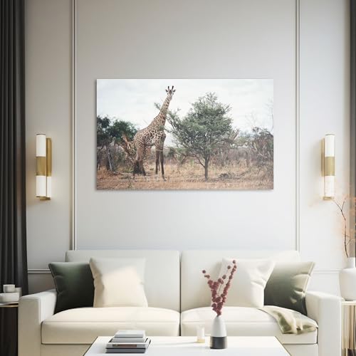 Hustling Sharks Wandbilder Giraffe zwischen Buschland Leinwand 30x40