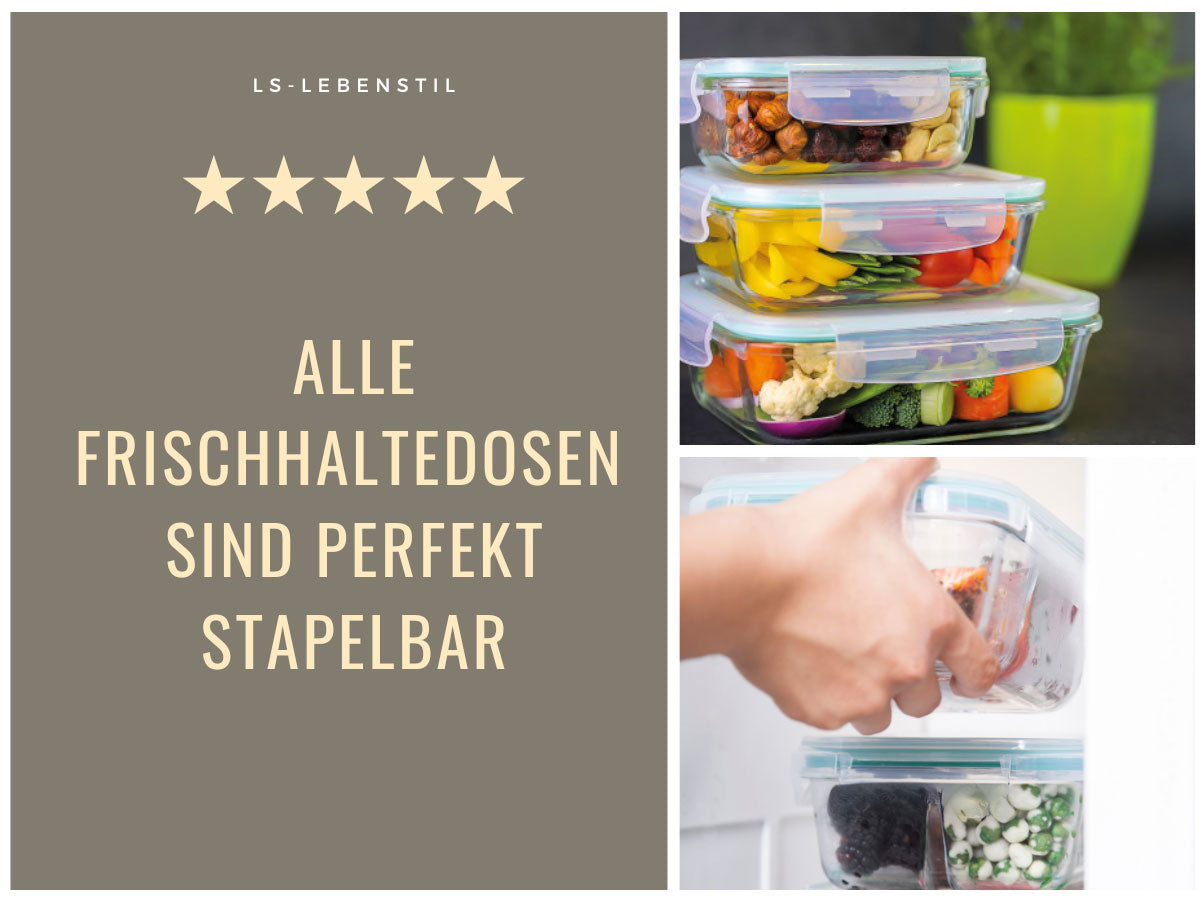 LS-LebenStil Cook Lock Frischhaltedose 550ml Glas Rechteckig Deckel