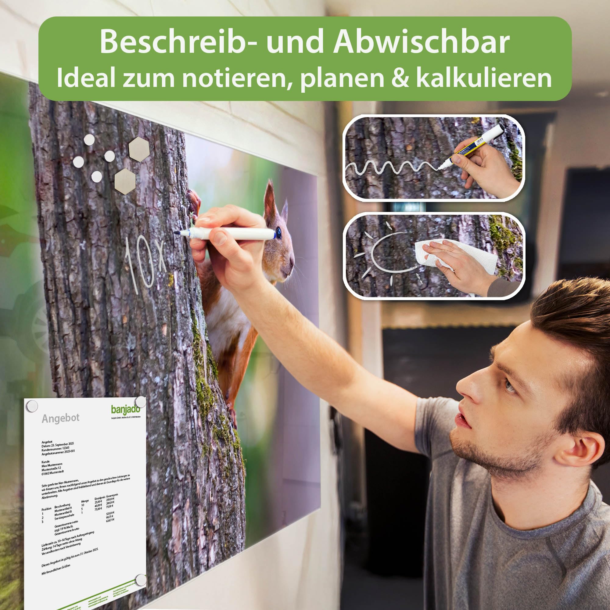 Banjado Magnettafel Glasboard Eichhörnchen 120x80 beschreibbar