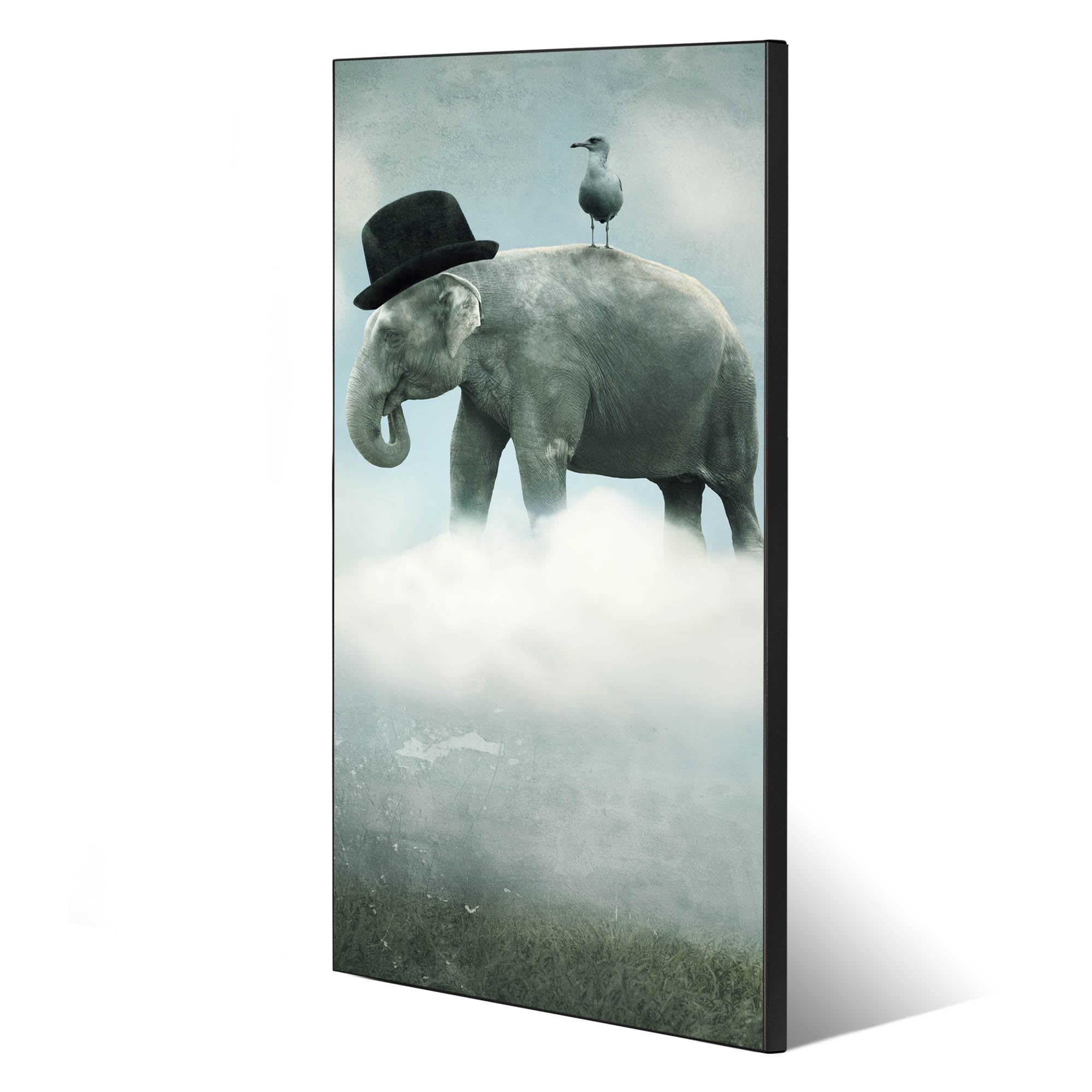 Banjado Magnettafel 37x78cm Magnetpinnwand Elefant und Möwe