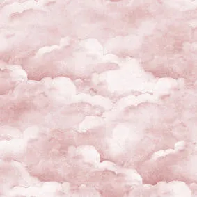 Mineheart Wallpaper Dusty Pink Clouds Tapete A3 Muster rosa