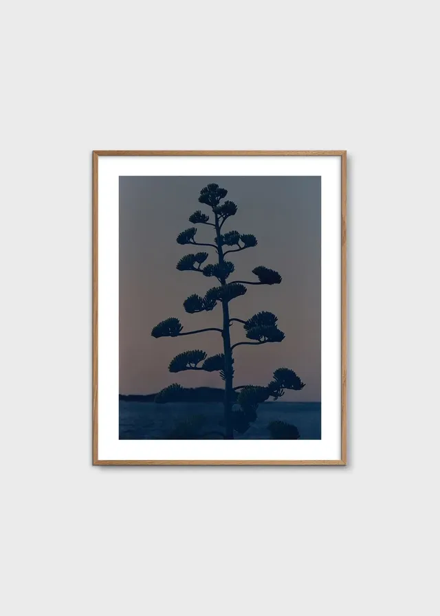 The Poster Club Hvar Agave Flower Poster 40x50 cm blau