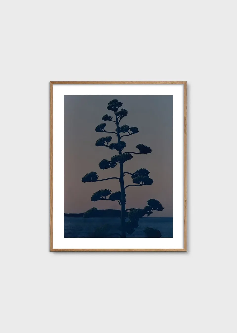 The Poster Club Hvar Agave Flower Poster 40x50 cm blau