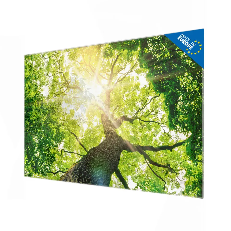 Banjado Magnettafel Baumkrone 120x80 cm Glas Waldmotiv