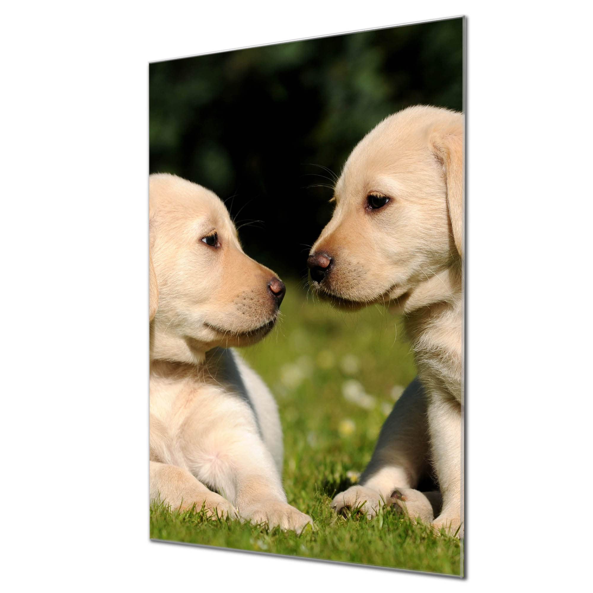 Banjado Magnettafel Mops im Koffer Magnetboard 60x40 Hund