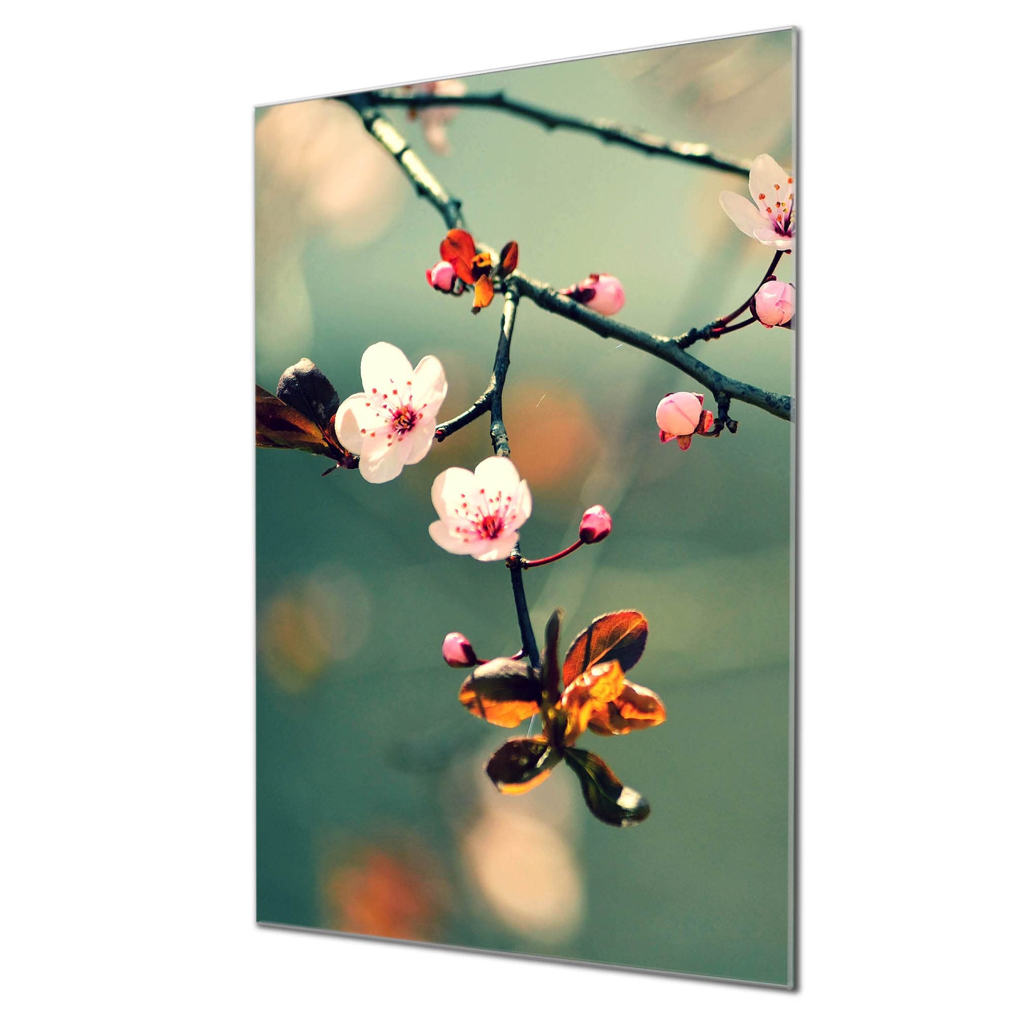 Banjado Magnettafel Japankirsche Glasboard 40x60 cm Blumenmotiv