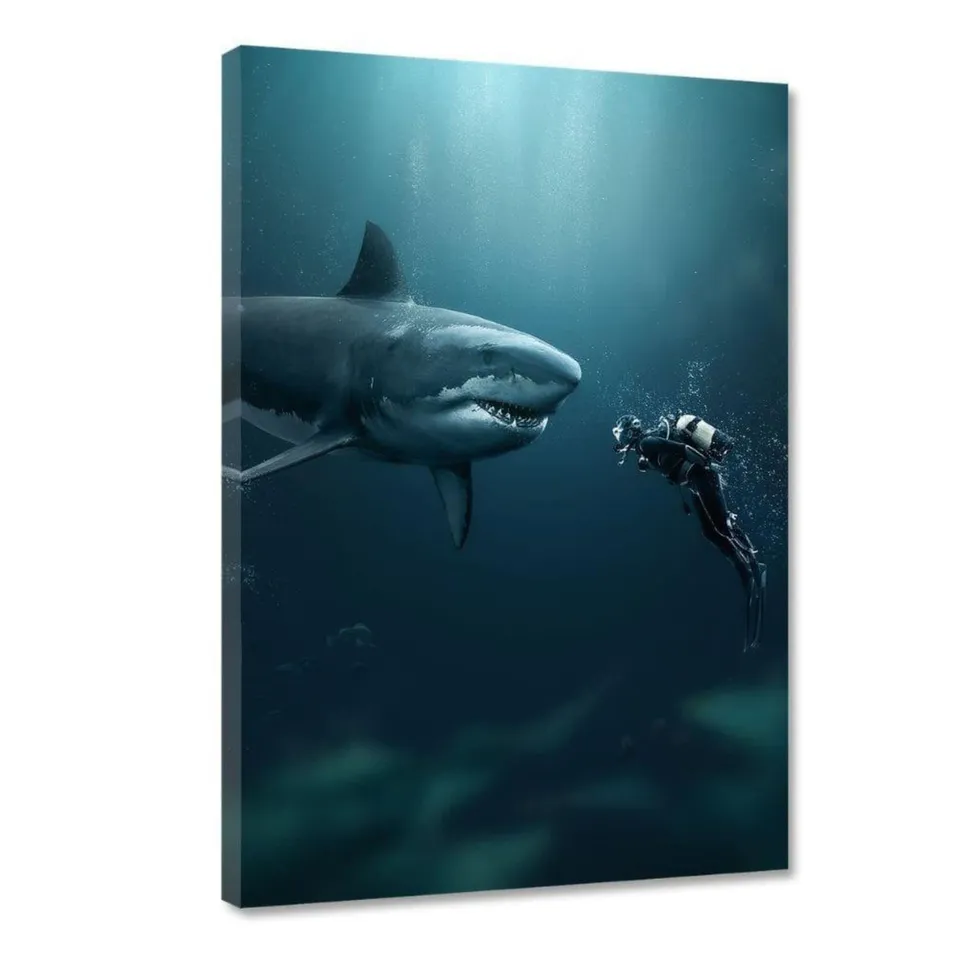 Hustling Sharks Wandbilder Der Hai Wandbild 30x45 cm Tiermotiv