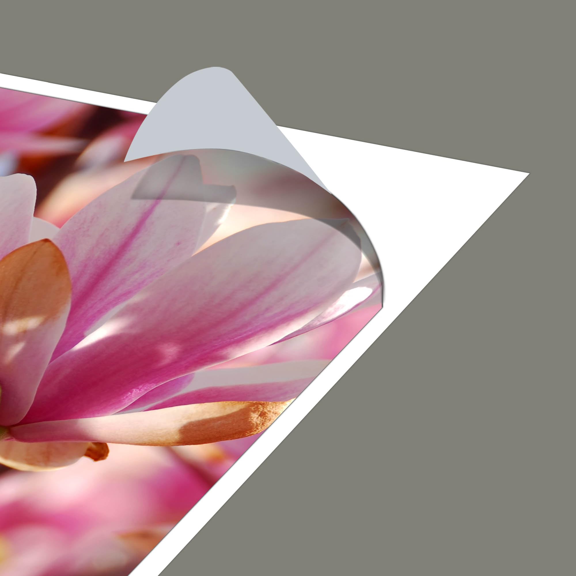 Banjado Möbelfolie Tischfolie Magnolia 55x55 cm selbstklebend