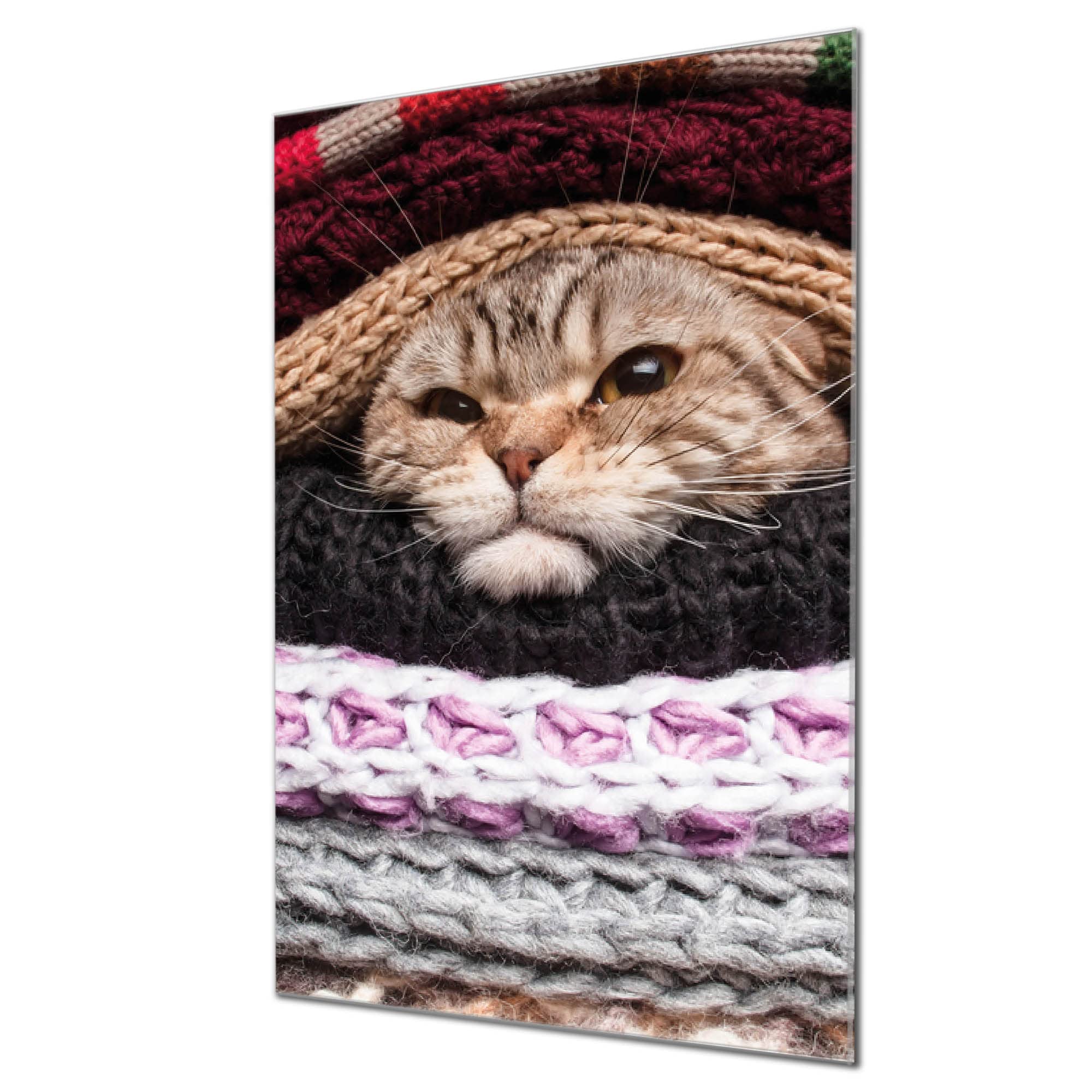 Banjado Magnettafel Kleine Katze Magnettafel 60x40 cm Glas
